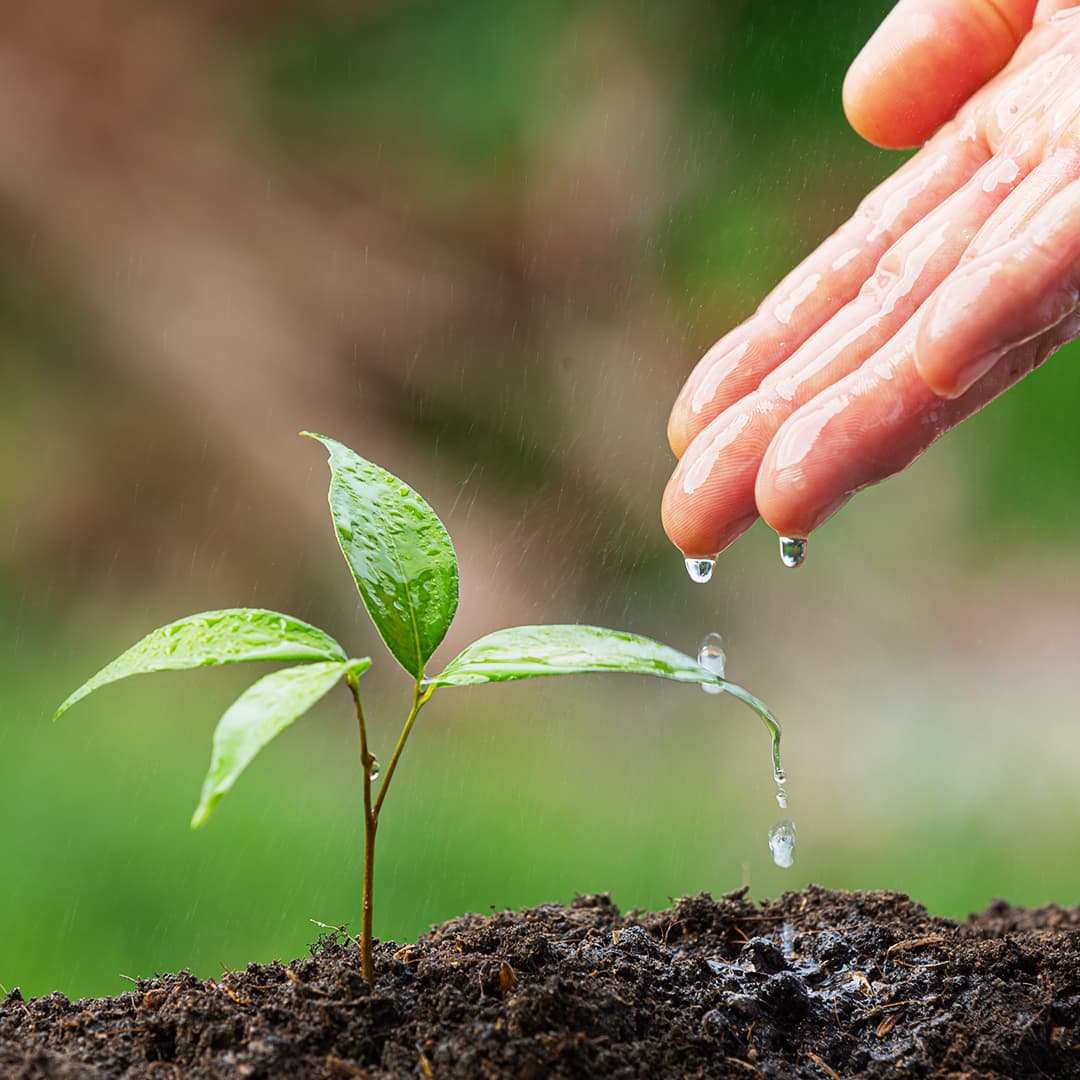 PRESERVAÇÃO DO MEIO AMBIENTE