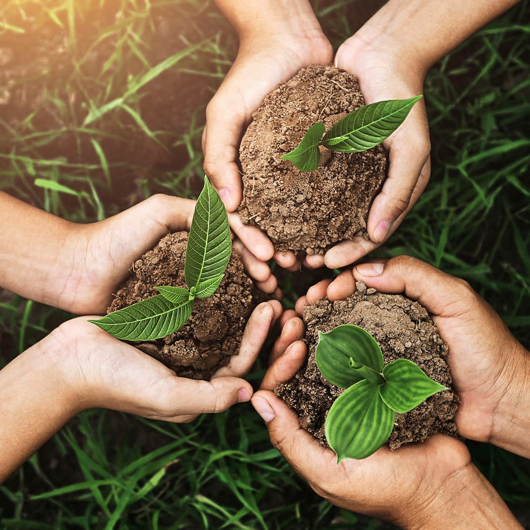 Imagem ilustrativa em comemoração do Dia Mundial do Meio Ambiente.